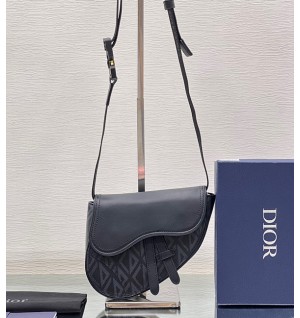 디올 새들백 미니